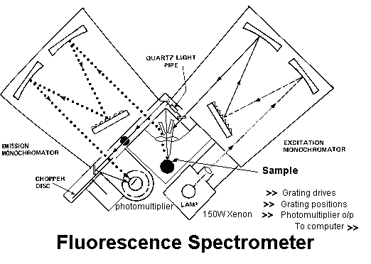 Diagram of fluorescence spectrometer